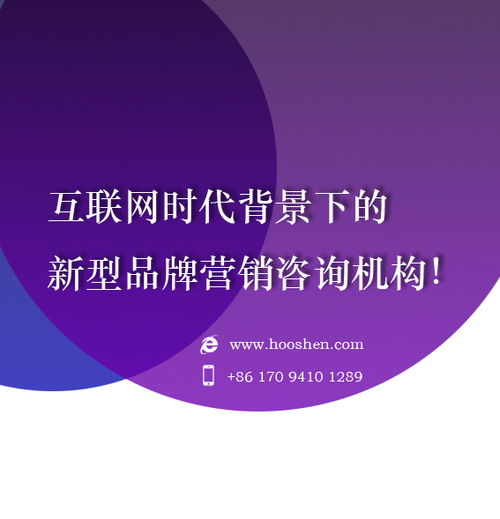 2024年十大網(wǎng)絡廣告投放公司排名與選擇指南